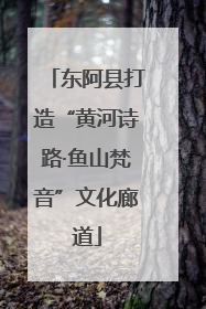 东阿县打造“黄河诗路·鱼山梵音”文化廊道