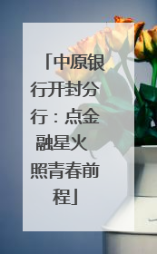 中原银行开封分行：点金融星火 照青春前程