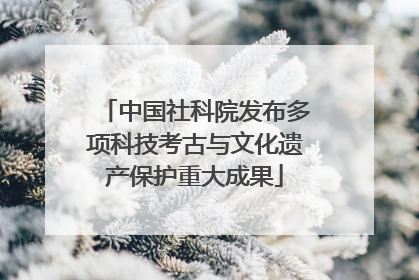 中国社科院发布多项科技考古与文化遗产保护重大成果