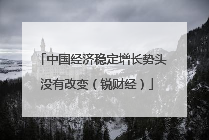 中国经济稳定增长势头没有改变（锐财经）