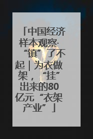 中国经济样本观察·“镇”了不起｜为衣做架，“挂”出来的80亿元“衣架产业”