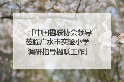 中国楹联协会领导莅临广水市实验小学调研指导楹联工作