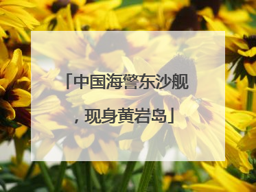 中国海警东沙舰，现身黄岩岛