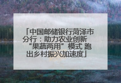中国邮储银行菏泽市分行：助力农业创新 “果蔬两用”模式 跑出乡村振兴加速度