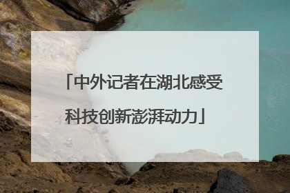 中外记者在湖北感受科技创新澎湃动力