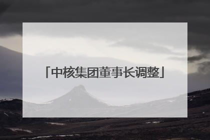 中核集团董事长调整