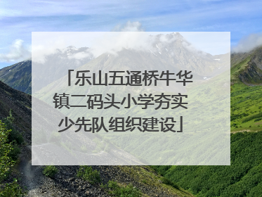 乐山五通桥牛华镇二码头小学夯实少先队组织建设