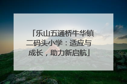 乐山五通桥牛华镇二码头小学：适应与成长，助力新启航