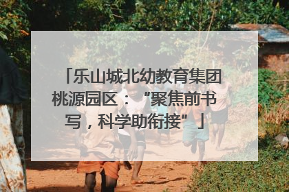 乐山城北幼教育集团桃源园区：“聚焦前书写，科学助衔接”