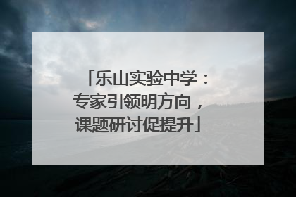 乐山实验中学：专家引领明方向，课题研讨促提升