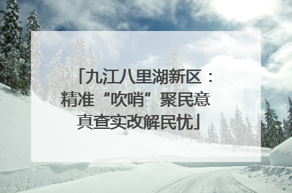 九江八里湖新区：精准“吹哨”聚民意 真查实改解民忧
