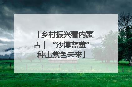 乡村振兴看内蒙古｜“沙漠蓝莓”种出紫色未来