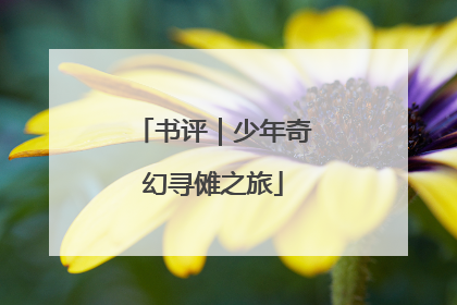 书评｜少年奇幻寻傩之旅