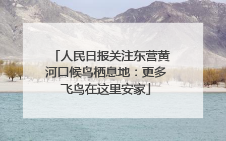 人民日报关注东营黄河口候鸟栖息地：更多飞鸟在这里安家
