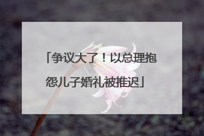 争议大了！以总理抱怨儿子婚礼被推迟