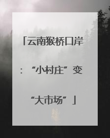 云南猴桥口岸：“小村庄”变“大市场”