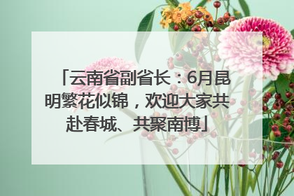 云南省副省长：6月昆明繁花似锦，欢迎大家共赴春城、共聚南博