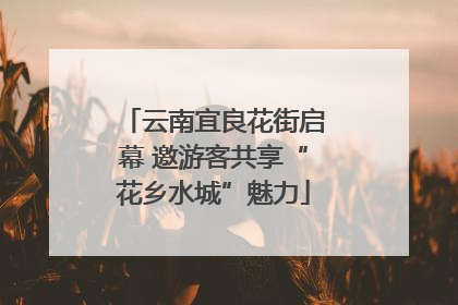 云南宜良花街启幕 邀游客共享“花乡水城”魅力