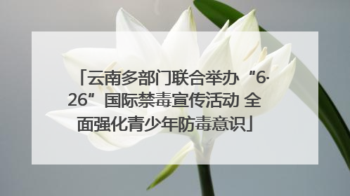 云南多部门联合举办“6·26”国际禁毒宣传活动 全面强化青少年防毒意识