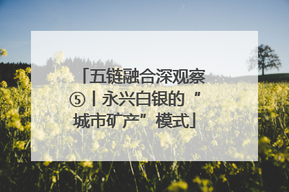 五链融合深观察⑤丨永兴白银的“城市矿产”模式