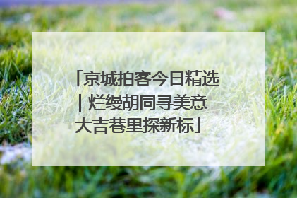 京城拍客今日精选｜烂缦胡同寻美意 大吉巷里探新标