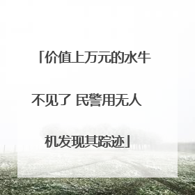 价值上万元的水牛不见了 民警用无人机发现其踪迹