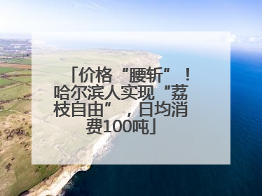 价格“腰斩”！哈尔滨人实现“荔枝自由”，日均消费100吨