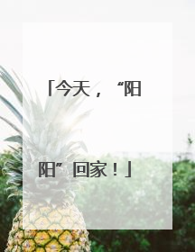 今天，“阳阳”回家！