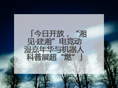 今日开放，“湘见·建湘”电竞动漫嘉年华与机器人科普展超“燃”