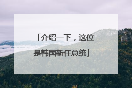 介绍一下，这位是韩国新任总统