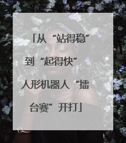 从“站得稳”到“起得快” 人形机器人“擂台赛”开打