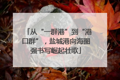 从“一群港”到“港口群”，盐城港向海图强书写崛起壮歌