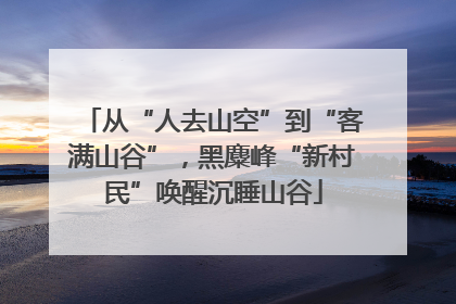 从“人去山空”到“客满山谷”，黑麋峰“新村民”唤醒沉睡山谷