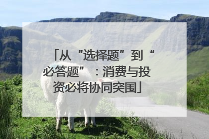 从“选择题”到“必答题”：消费与投资必将协同突围