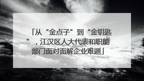 从“金点子”到“金钥匙”，江汉区人大代表和职能部门面对面解企业难题