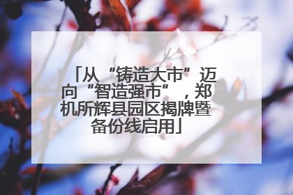 从“铸造大市”迈向“智造强市”，郑机所辉县园区揭牌暨备份线启用