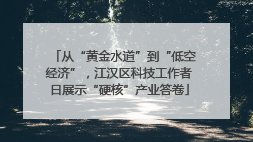 从“黄金水道”到“低空经济”，江汉区科技工作者日展示“硬核”产业答卷