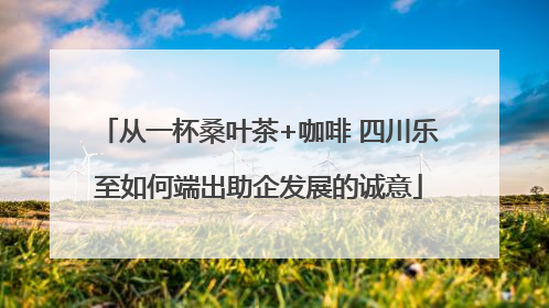 从一杯桑叶茶+咖啡 四川乐至如何端出助企发展的诚意