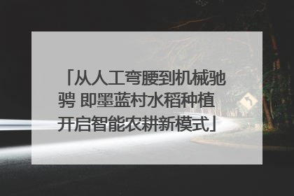 从人工弯腰到机械驰骋 即墨蓝村水稻种植开启智能农耕新模式