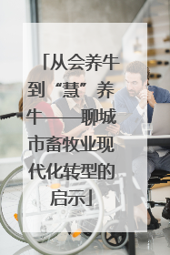 从会养牛到“慧”养牛——聊城市畜牧业现代化转型的启示
