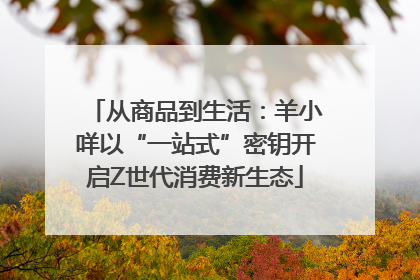 从商品到生活：羊小咩以“一站式”密钥开启Z世代消费新生态