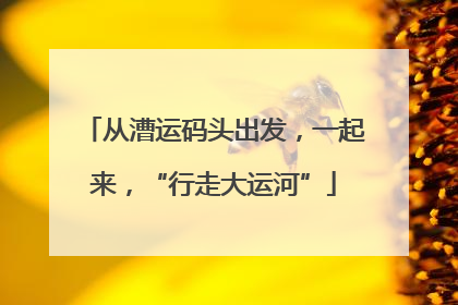 从漕运码头出发，一起来，“行走大运河”