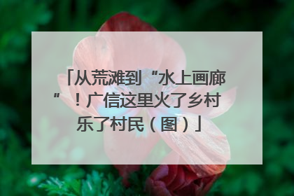 从荒滩到“水上画廊”！广信这里火了乡村 乐了村民（图）