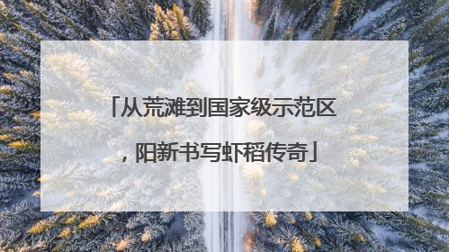 从荒滩到国家级示范区，阳新书写虾稻传奇