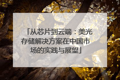 从芯片到云端：美光存储解决方案在中国市场的实践与展望