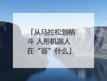 从马拉松到格斗 人形机器人在“赛”什么