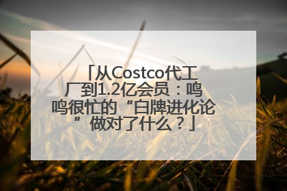 从Costco代工厂到1.2亿会员：鸣鸣很忙的“白牌进化论”做对了什么？