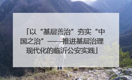 以“基层善治”夯实“中国之治”——推进基层治理现代化的临沂公安实践