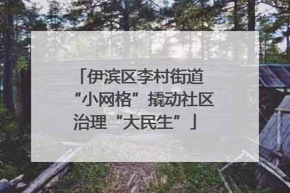 伊滨区李村街道 “小网格”撬动社区治理“大民生”