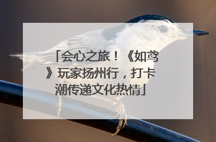 会心之旅！《如鸢》玩家扬州行，打卡潮传递文化热情